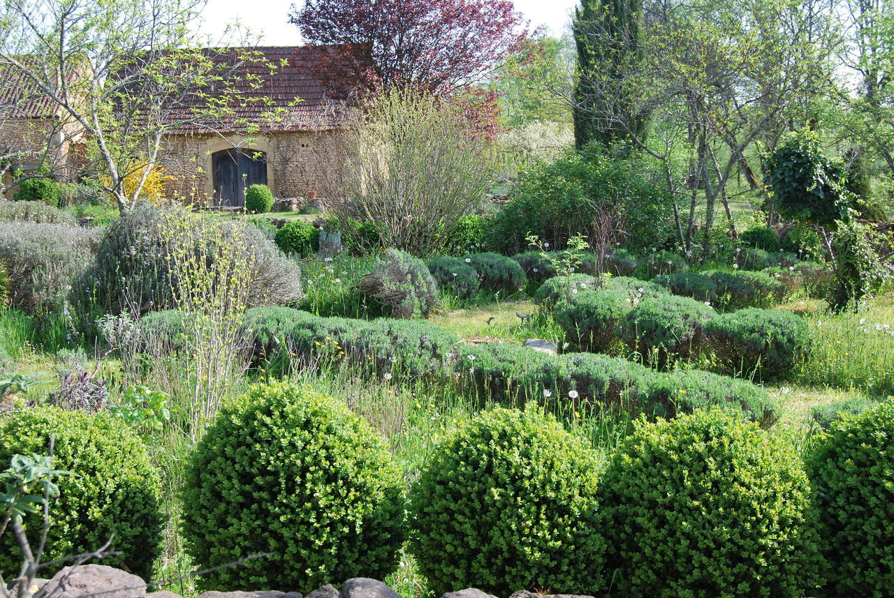 Bed and Breakfast La Charmeraie Saint-Cirq  Exterior foto
