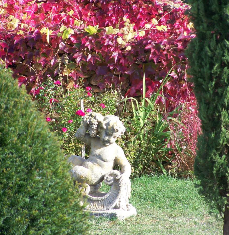 Bed and Breakfast La Charmeraie Saint-Cirq  Exterior foto